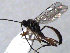  ( - ZMUO.066679)  @11 [ ] by-nc (2023) Pirjo Appelgren Friendship Park Research Centre