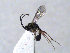 ( - ZMUO.066695)  @11 [ ] by-nc (2023) Pirjo Appelgren Friendship Park Research Centre