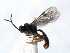  ( - ZMUO.066815)  @11 [ ] by-nc (2023) Pirjo Appelgren Friendship Park Research Centre
