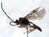  ( - ZMUO.066855)  @11 [ ] by-nc (2023) Pirjo Appelgren Friendship Park Research Centre