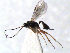  ( - ZMUO.066857)  @11 [ ] by-nc (2023) Pirjo Appelgren Friendship Park Research Centre