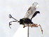  ( - ZMUO.066871)  @11 [ ] by-nc (2023) Pirjo Appelgren Friendship Park Research Centre