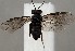  ( - ZMUO.067183)  @11 [ ] by-nc (2023) Marko Mutanen University of Oulu