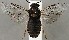  ( - ZMUO.067207)  @11 [ ] by-nc (2023) Marko Mutanen University of Oulu