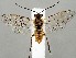  ( - ZMUO.067237)  @11 [ ] by-nc (2023) Marko Mutanen University of Oulu