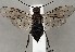  ( - ZMUO.067253)  @11 [ ] by-nc (2023) Marko Mutanen University of Oulu
