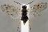  ( - ZMUO.067320)  @11 [ ] by-nc (2023) Marko Mutanen University of Oulu