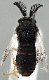  ( - ZMUO.077151)  @11 [ ] by-nc (2023) Marko Mutanen University of Oulu