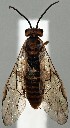  ( - ZMUO.077304)  @11 [ ] by-nc (2023) Marko Mutanen University of Oulu