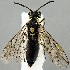  ( - ZMUO.077393)  @11 [ ] by-nc (2023) Marko Mutanen University of Oulu