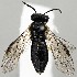  ( - ZMUO.077482)  @11 [ ] by-nc (2023) Marko Mutanen University of Oulu