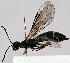  ( - ZMUO.077552)  @11 [ ] by-nc (2023) Marko Mutanen University of Oulu