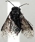  ( - ZMUO.077562)  @11 [ ] by-nc (2023) Marko Mutanen University of Oulu