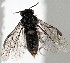  ( - ZMUO.077897)  @11 [ ] by-nc (2023) Marko Mutanen University of Oulu