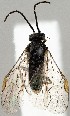  ( - ZMUO.078477)  @11 [ ] by-nc (2023) Marko Mutanen University of Oulu