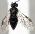  ( - ZMUO.078706)  @11 [ ] by-nc (2023) Marko Mutanen University of Oulu