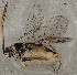  ( - ZMUO.078753)  @11 [ ] by-nc (2023) Marko Mutanen University of Oulu
