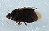  ( - ZMUO.079095)  @11 [ ] by-nc (2024) Marko Mutanen University of Oulu