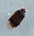  ( - ZMUO.079140)  @11 [ ] by-nc (2024) Marko Mutanen University of Oulu