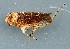  ( - ZMUO.079173)  @11 [ ] by-nc (2024) Marko Mutanen University of Oulu