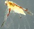  ( - ZMUO.079354)  @11 [ ] by-nc (2024) Marko Mutanen University of Oulu