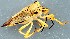  ( - ZMUO.079364)  @11 [ ] by-nc (2024) Marko Mutanen University of Oulu