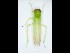  ( - ZMUO.079402)  @11 [ ] by-nc (2023) Petri Parkko Unspecified