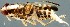  ( - ZMUO.079444)  @11 [ ] by-nc (2024) Marko Mutanen University of Oulu