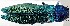  ( - ZMUO.079636)  @11 [ ] by-nc (2024) Marko Mutanen University of Oulu