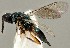  ( - ZMUO.079665)  @11 [ ] by-nc (2024) Marko Mutanen University of Oulu