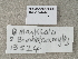  ( - ZMUO.087056)  @11 [ ] by-nc (2024) Marko Mutanen University of Oulu