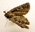  ( - MM19003)  @12 [ ] Unspecified (default): All Rights Reserved  Unspecified Unspecified