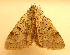  ( - MM19030)  @13 [ ] Unspecified (default): All Rights Reserved  Unspecified Unspecified