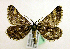  ( - MM19043)  @11 [ ] Unspecified (default): All Rights Reserved  Unspecified Unspecified