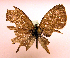  ( - MM19045)  @12 [ ] Unspecified (default): All Rights Reserved  Unspecified Unspecified