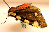  ( - MM19063)  @13 [ ] Unspecified (default): All Rights Reserved  Unspecified Unspecified