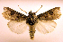  ( - MM19085)  @14 [ ] Unspecified (default): All Rights Reserved  Unspecified Unspecified