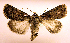  ( - MM19086)  @14 [ ] Unspecified (default): All Rights Reserved  Unspecified Unspecified