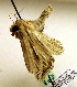  ( - MM19089)  @13 [ ] Unspecified (default): All Rights Reserved  Unspecified Unspecified