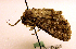 ( - MM19104)  @13 [ ] Unspecified (default): All Rights Reserved  Unspecified Unspecified