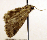  ( - MM19106)  @12 [ ] Unspecified (default): All Rights Reserved  Unspecified Unspecified