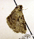  ( - MM19107)  @13 [ ] Unspecified (default): All Rights Reserved  Unspecified Unspecified