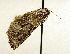  ( - MM19108)  @12 [ ] Unspecified (default): All Rights Reserved  Unspecified Unspecified