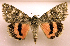  ( - MM19117)  @13 [ ] Unspecified (default): All Rights Reserved  Unspecified Unspecified