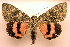  ( - MM19118)  @14 [ ] Unspecified (default): All Rights Reserved  Unspecified Unspecified
