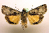  ( - MM19133)  @14 [ ] Unspecified (default): All Rights Reserved  Unspecified Unspecified