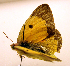  ( - MM19144)  @12 [ ] Unspecified (default): All Rights Reserved  Unspecified Unspecified