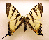  ( - MM19147)  @13 [ ] Unspecified (default): All Rights Reserved  Unspecified Unspecified