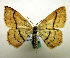  ( - MM19152)  @13 [ ] Unspecified (default): All Rights Reserved  Unspecified Unspecified
