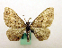  ( - MM19157)  @13 [ ] Unspecified (default): All Rights Reserved  Unspecified Unspecified